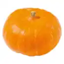 Bild 1 von Deutscher Hokkaido Kürbis