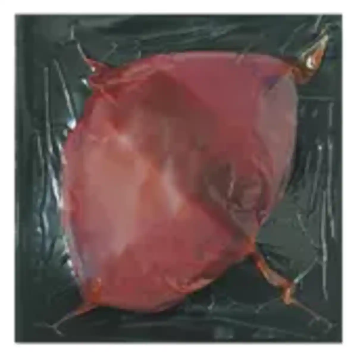 Bild 1 von Die Rostocker Schweineleber in Scheiben
