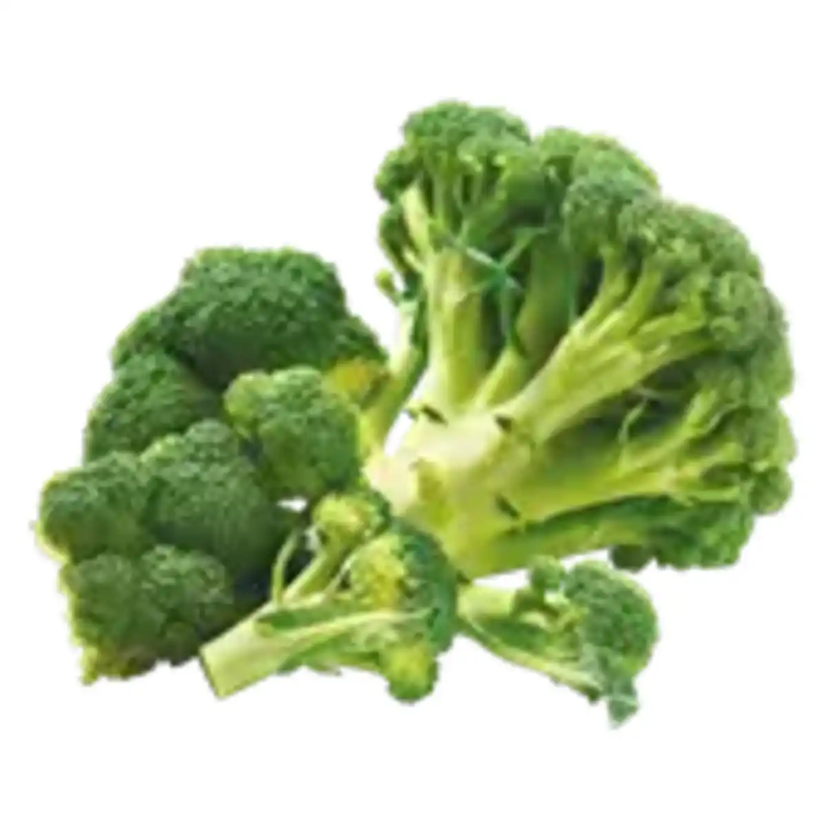 Bild 1 von GO Regio Deutscher Broccoli