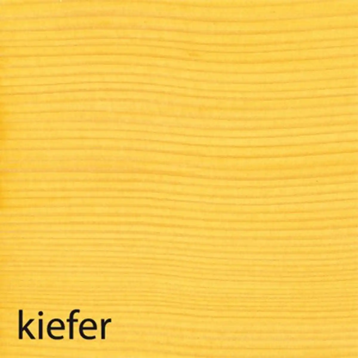 Bild 2 von Baufix Wetterschutz-Holzgel Kiefer 2er-Set