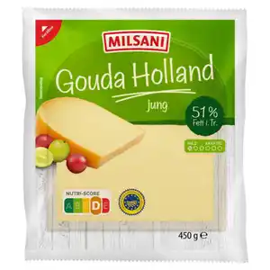 HOFBURGER Gouda jung 450 g
