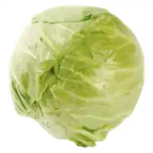 Deutscher Weißkohl