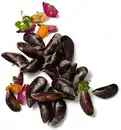 Bild 1 von K-BLUE BAY Miesmuscheln, 1-kg-Packg.