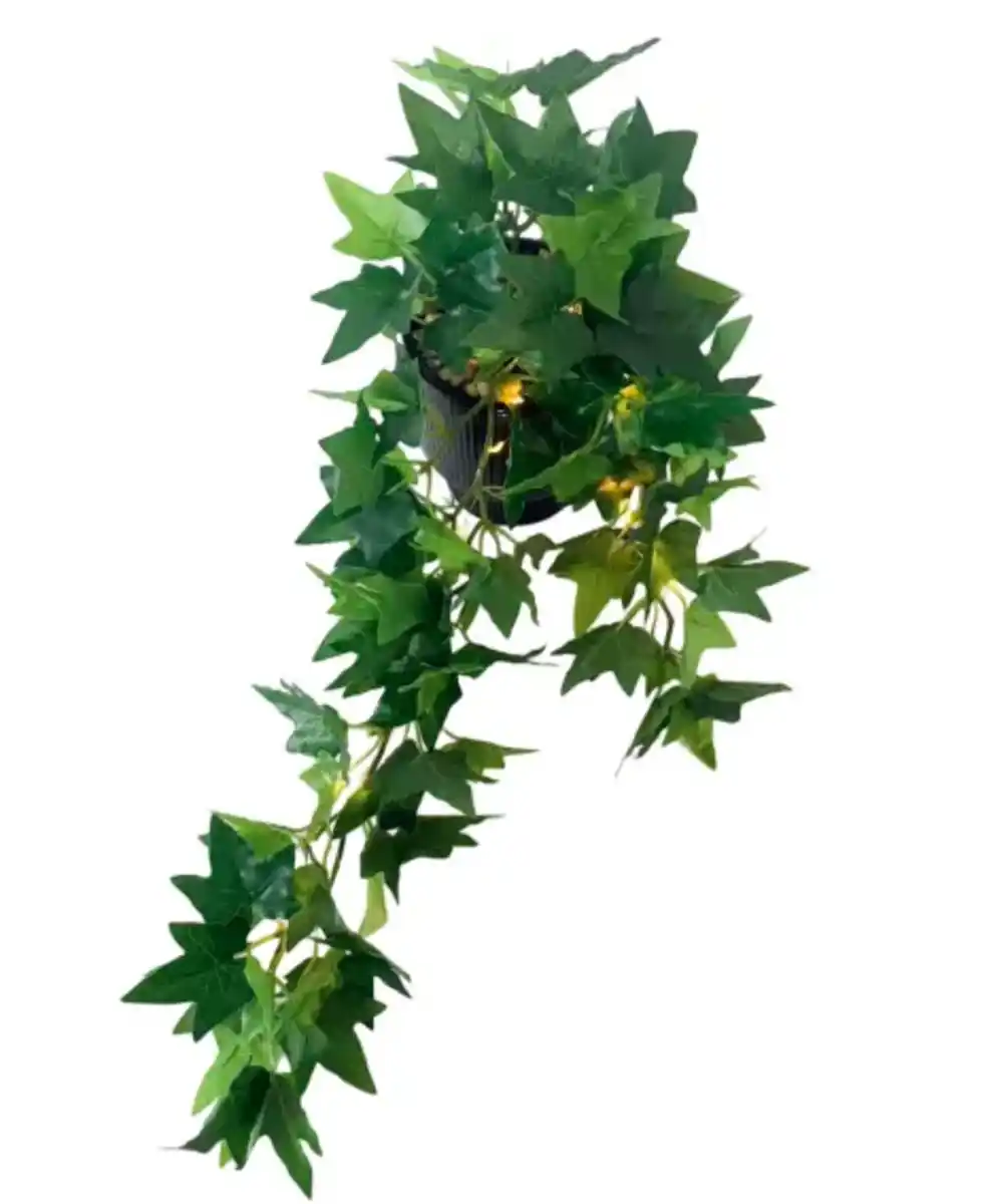 Bild 1 von Grüne LED-Kunstpflanze