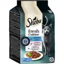 Bild 1 von Sheba Fresh Cuisine Nassfutter Katze Adult Multipack Taste of Tokio 36x50 g