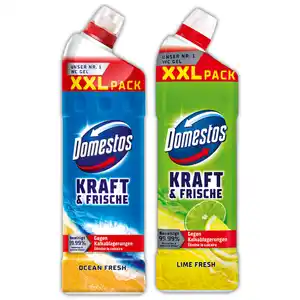 Domestos Kraft & Frische WC Gel