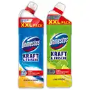 Bild 1 von Domestos Kraft & Frische WC Gel
