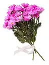 Bild 2 von Chrysanthemen Mono, gefärbt, Mix im Bund oder Chrysanthemen Anastasia, Bund