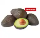 Bild 1 von Avocado*