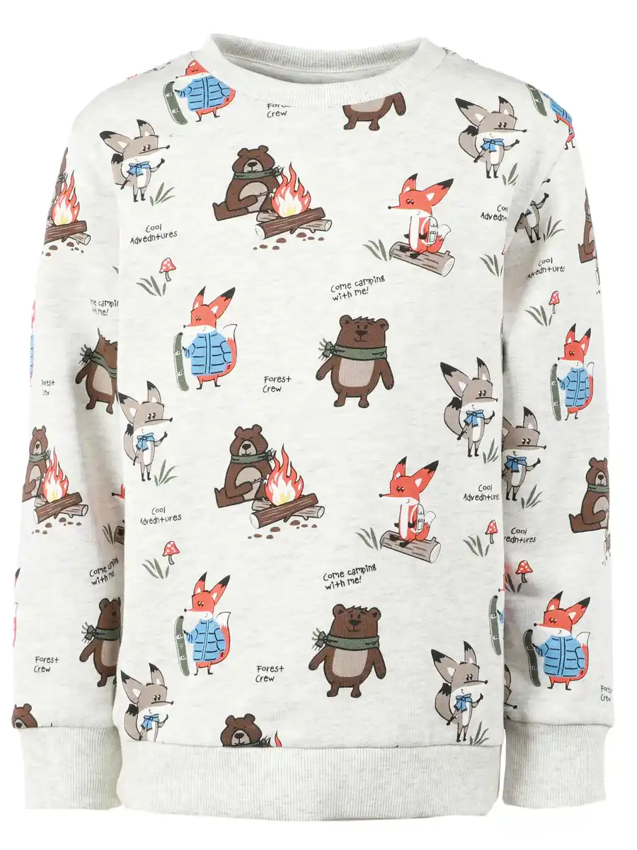 Bild 1 von Jungen Sweatshirt mit Alloverprint Waldtieren Grau