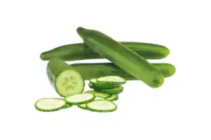 Salatgurke