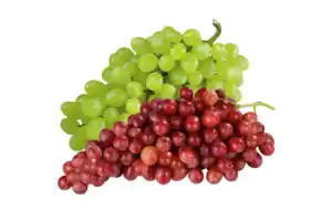 Tafeltrauben hell oder rot