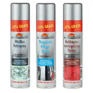 Carfit Professional Profi-Spray