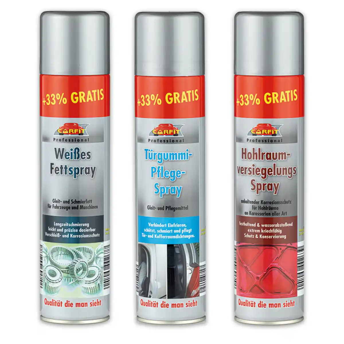 Bild 1 von Carfit Professional Profi-Spray