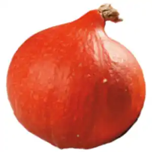 Bio Hokkaido Kürbis