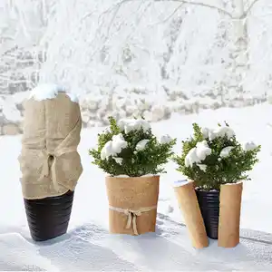 Powertec Garden XL-Jute- oder Kokos-Winter-Pflanzenschutz