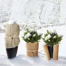 Bild 1 von Powertec Garden XL-Jute- oder Kokos-Winter-Pflanzenschutz