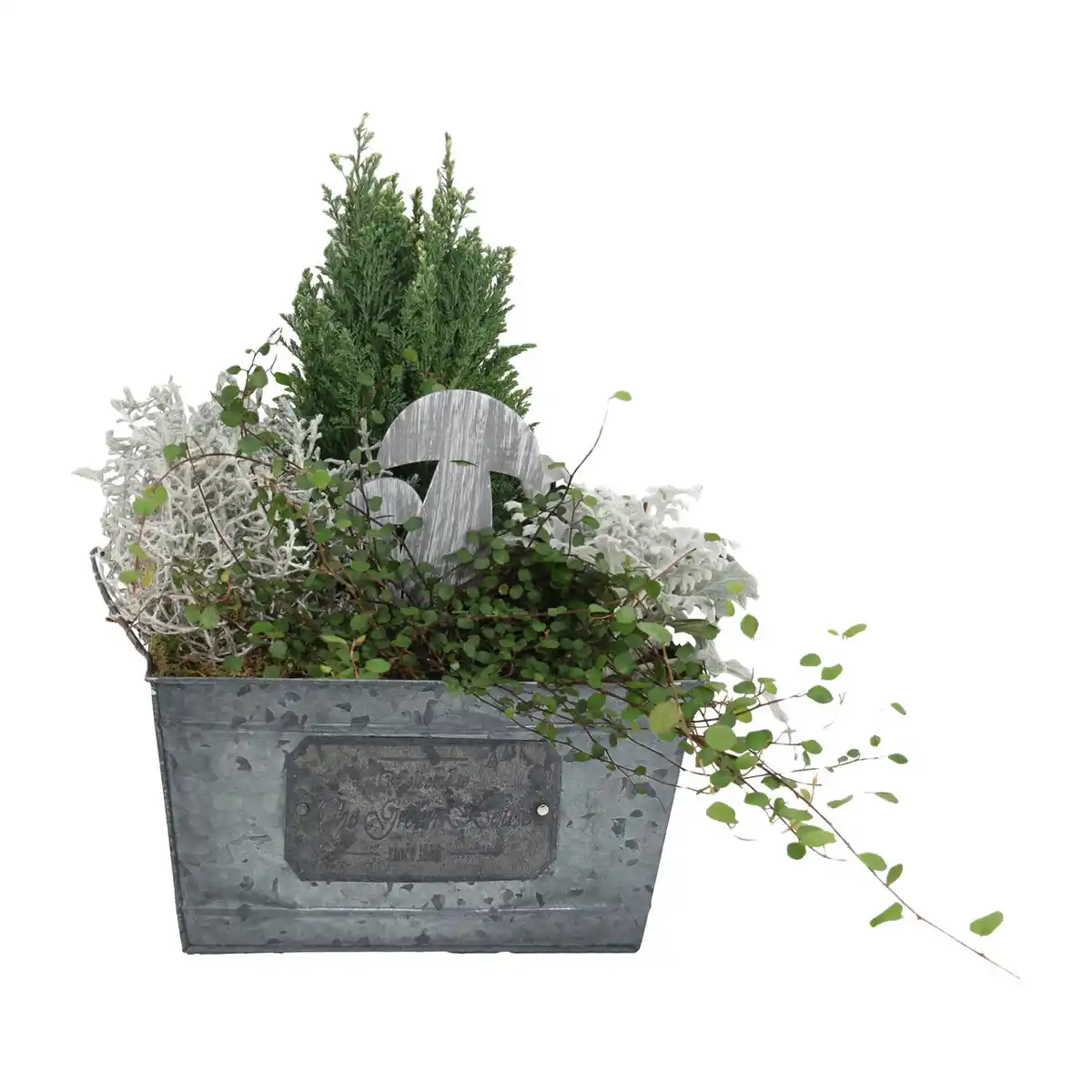 Bild 4 von GARDENLINE Bepflanztes Holzgefäß