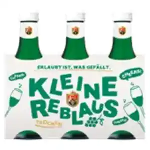 Kleine Reblaus