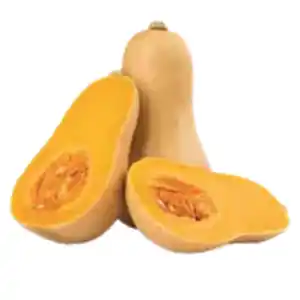 Deutscher Butternut Kürbis