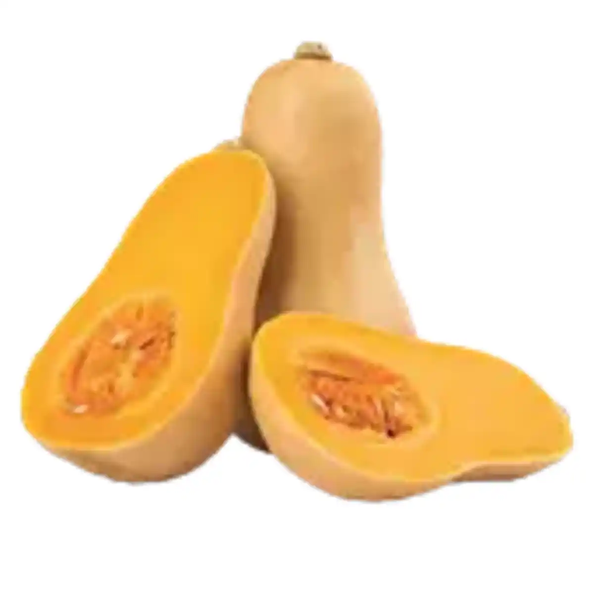 Bild 1 von Deutscher Butternut Kürbis