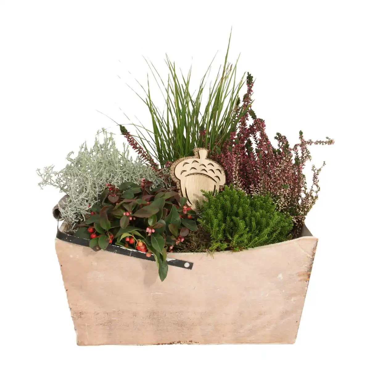Bild 2 von GARDENLINE Bepflanztes Holzgefäß