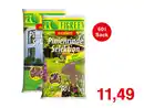 Bild 1 von Pinienrinde