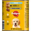 Bild 1 von PEDIGREE Hunde-Nassfutter, Junior, Geflügel & Reis, 800 g