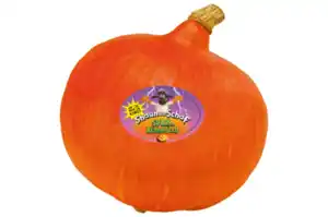 Bio Hokkaido Kürbis