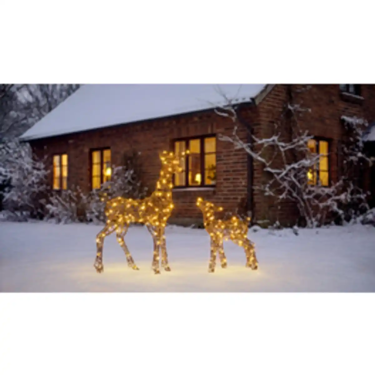 Bild 1 von CASAYA Led-Rentier-Set, Höhe 80/50 cm, 180 warmweiße LEDs, Timer, 5 m Zuleitung