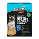 Bild 2 von CACHET Katzensuppe