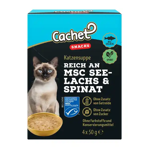 Bild 2 von CACHET Katzensuppe