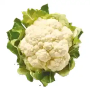 Blumenkohl