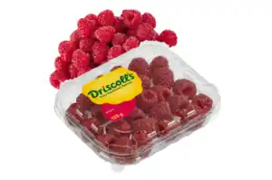 Driscoll´s Himbeeren