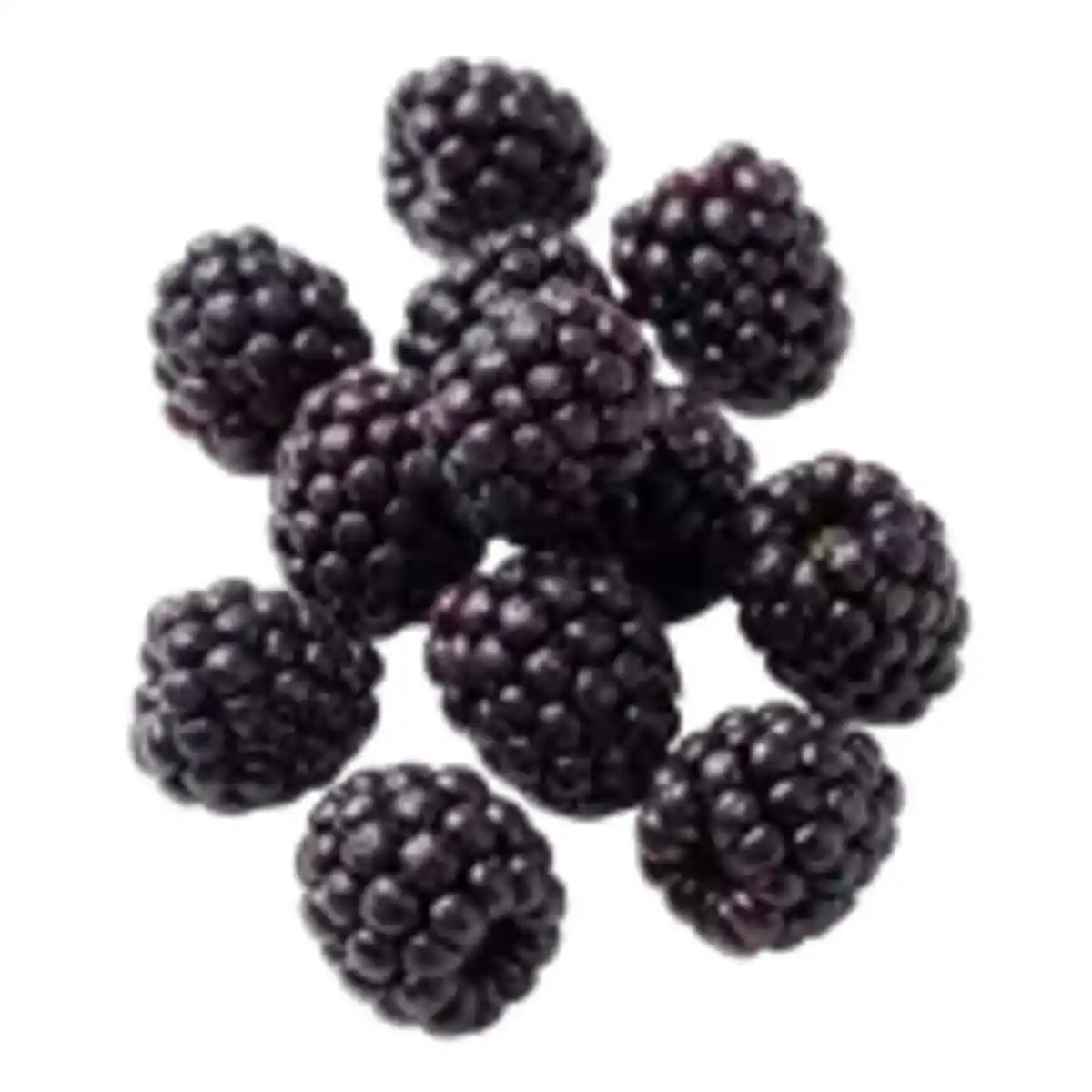 Bild 1 von Brombeeren