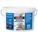 Bild 1 von SchimmelX Antischmimmelfarbe, Wand und Decke, 5 Liter, weiß