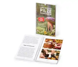 Buch »Ganz einfach Pilze sammeln«