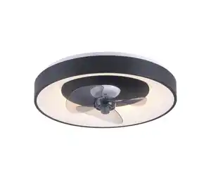 Just Light Deckenventilator »Venika