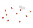 Bild 1 von LED Lichterkette »Eicheln«