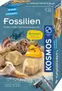 Bild 1 von KOSMOS - Fossilien, 1 Stk