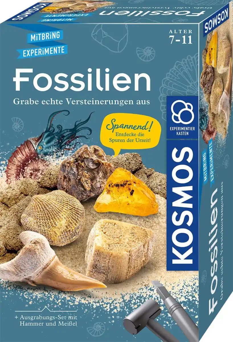 Bild 1 von KOSMOS - Fossilien, 1 Stk