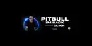 Bild 1 von Pitbull: I'm Back Tour Łódź 2026 inkl. Übernachtung im Premium Hotel