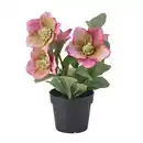 Bild 1 von FEJKA Topfpflanze, künstlich, drinnen/draußen Christrose/rosa, 9 cm