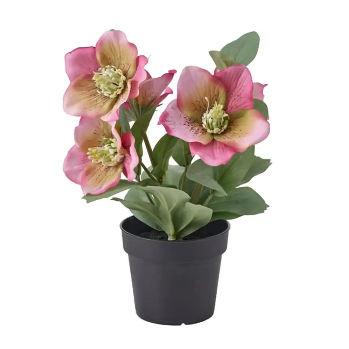 Bild 1 von FEJKA Topfpflanze, künstlich, drinnen/draußen Christrose/rosa, 9 cm