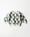 Bild 1 von Babypullover, kariert, Igel grün