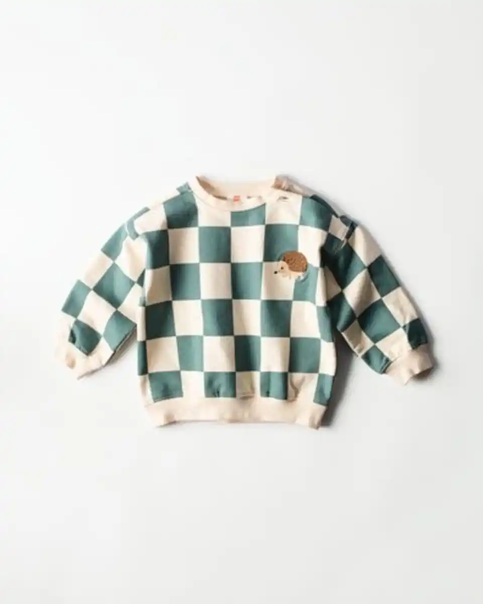 Bild 1 von Babypullover, kariert, Igel grün