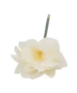 Kunstblume Amaryllis