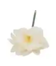 Bild 1 von Kunstblume Amaryllis