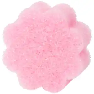 CleanRite Super Scrubby Schwämme