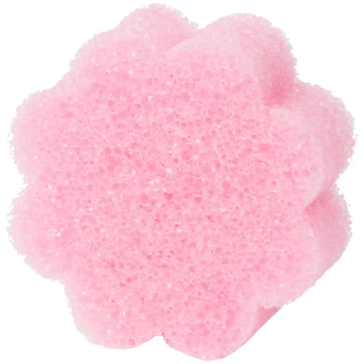 Bild 1 von CleanRite Super Scrubby Schwämme